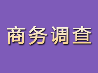 富宁商务调查